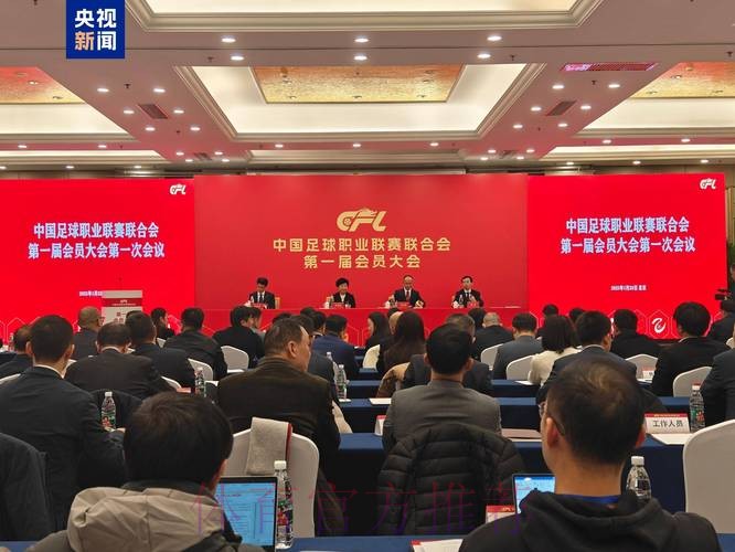 第十届中国足协执委会第三次会议在京召开